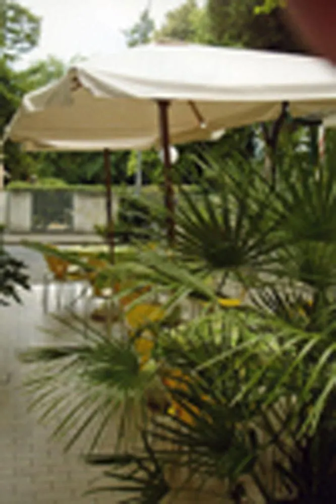 Hotel Leda Rimini