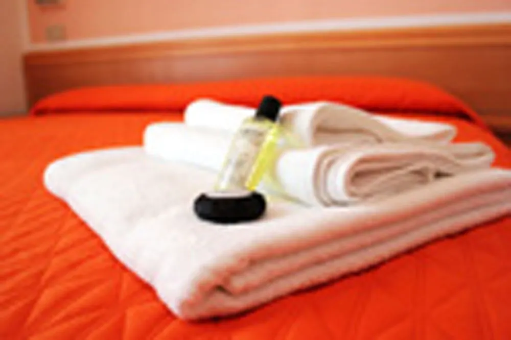 Hotel Leda Rimini Italy