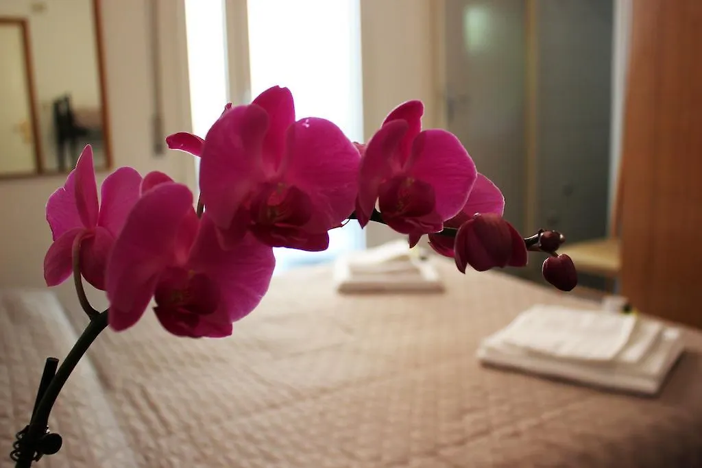 Hotel Leda Rimini Italy