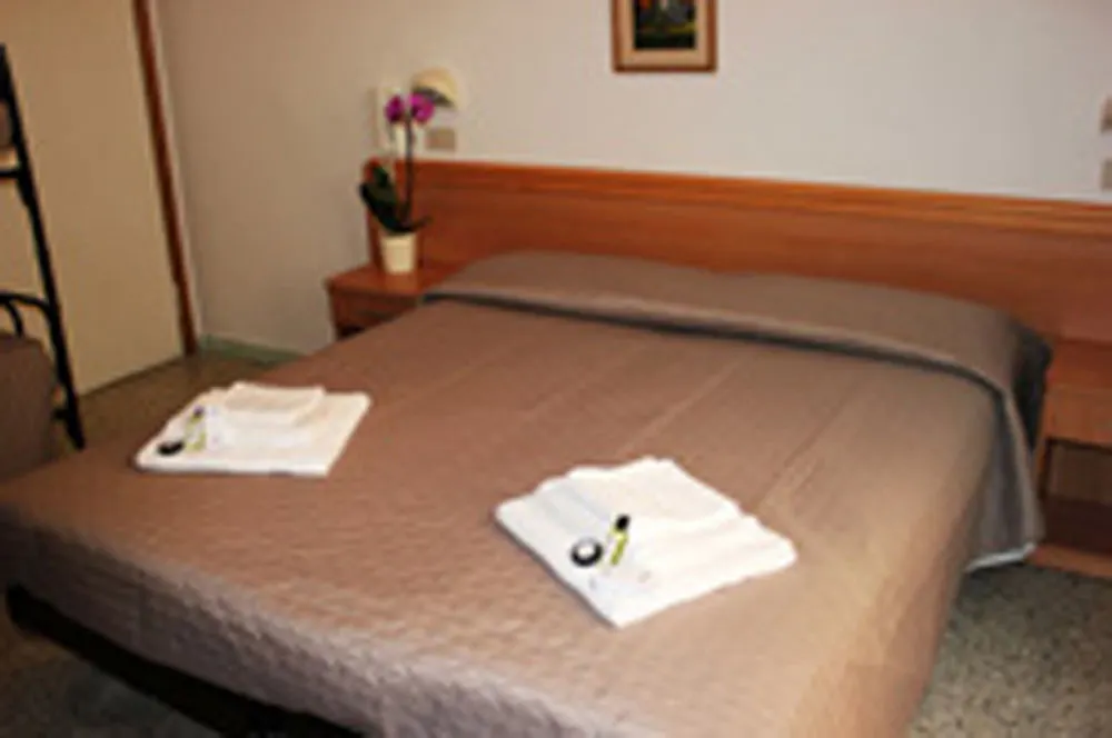 **  Hotel Leda Rimini Italy